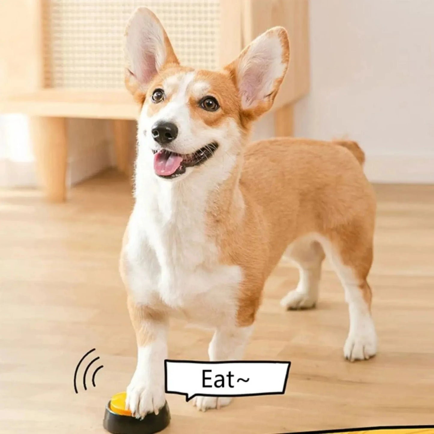 Kommunikationstasten für Hunde zum Training