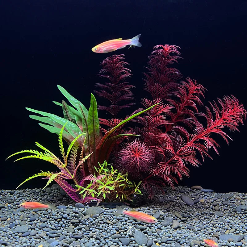 Deko Aquarium Pflanzen