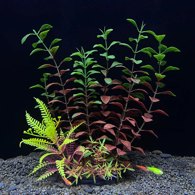 Deko Aquarium Pflanzen