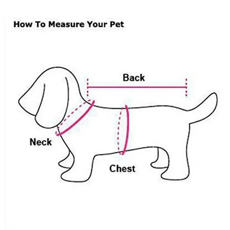 Lederjacke für Hunde