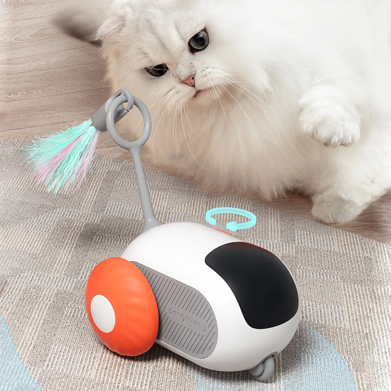Elektrisches Katzenspielzeug mit Fernbedienung