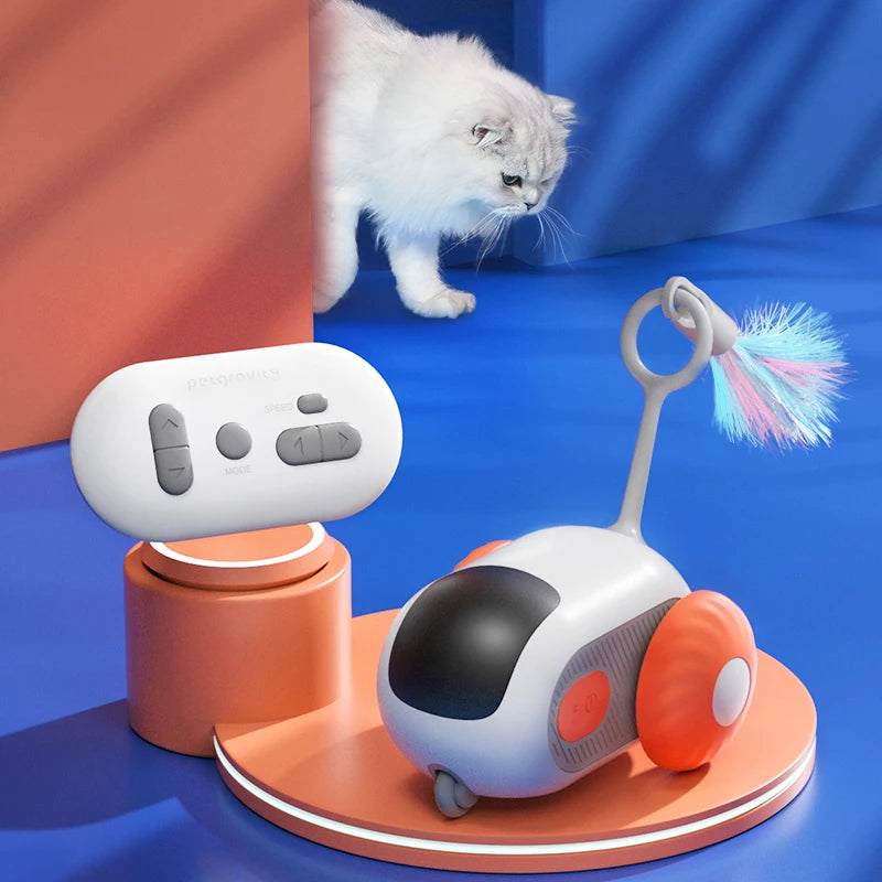 Elektrisches Katzenspielzeug mit Fernbedienung
