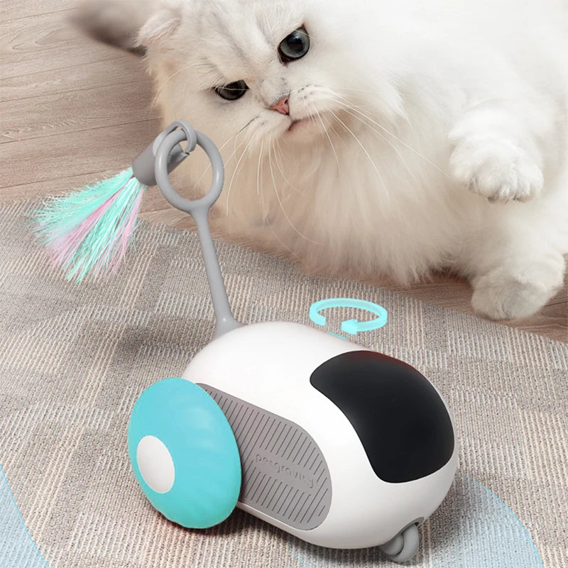Elektrisches Katzenspielzeug mit Fernbedienung