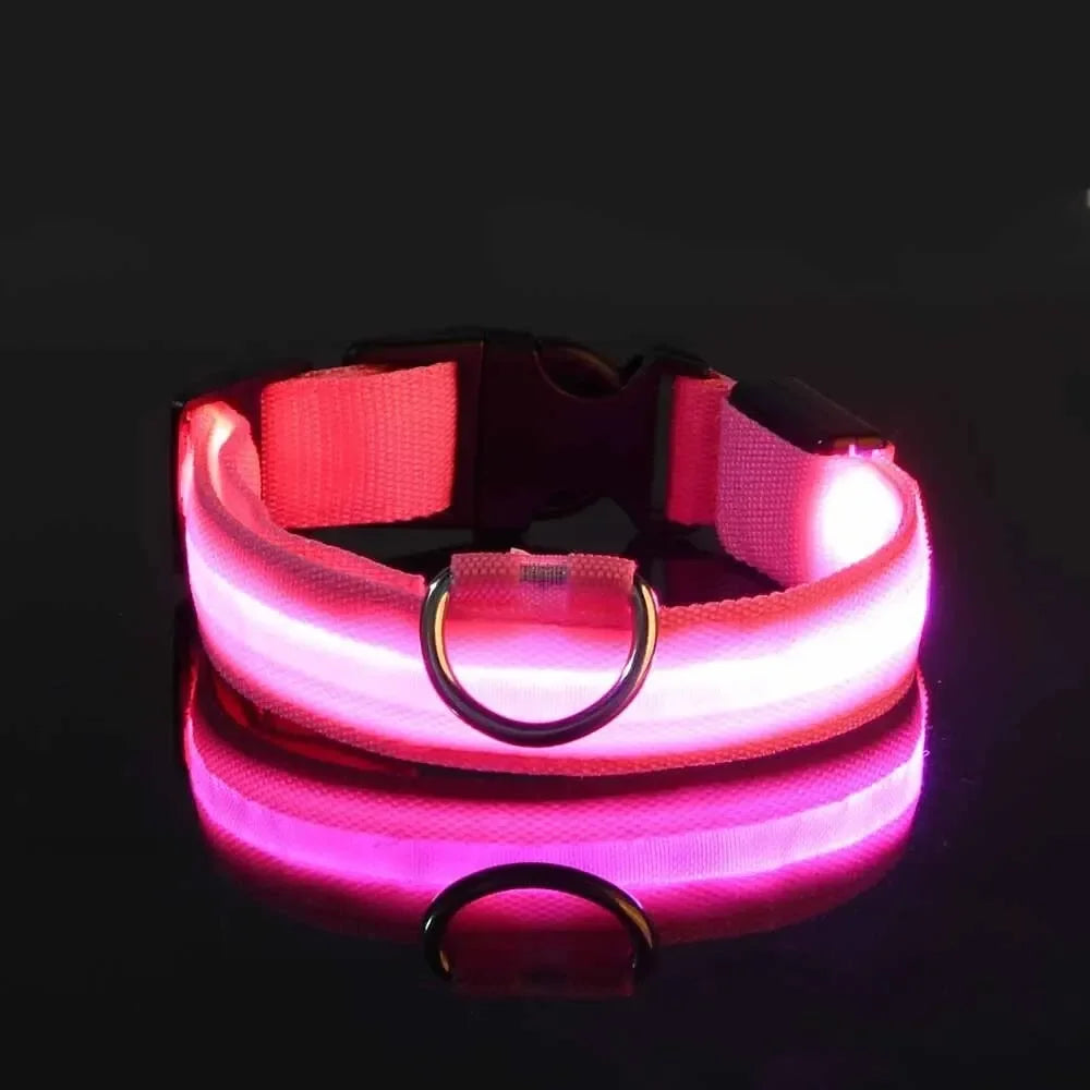 Leuchtendes LED Sicherheit-Hundehalsband