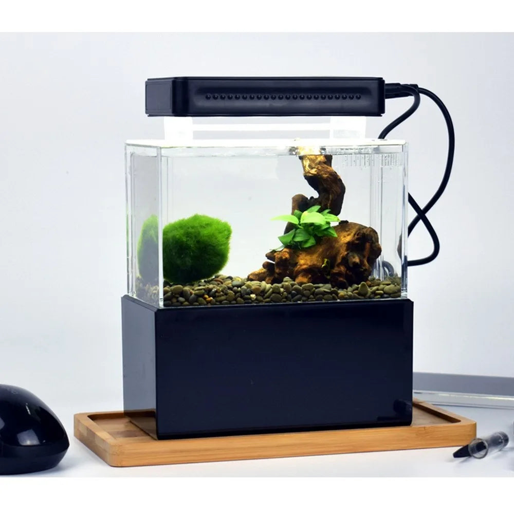 Mini Betta Aquarium