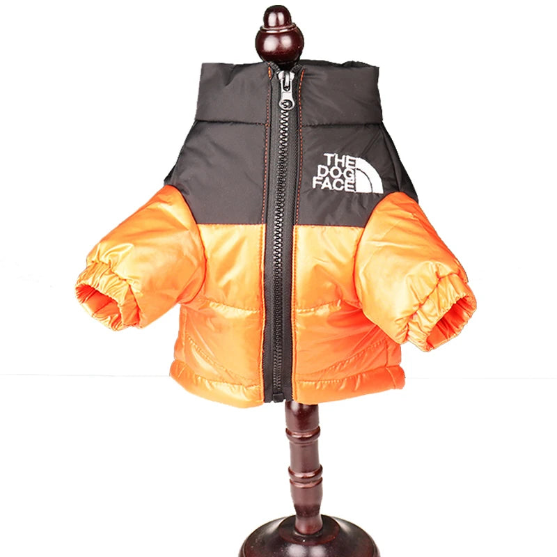 The Dog Face Jacke für den Winter