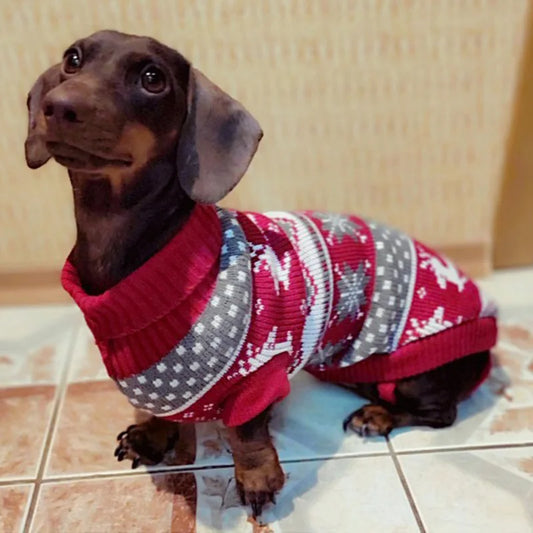 Weihnachtspullover für Hunde