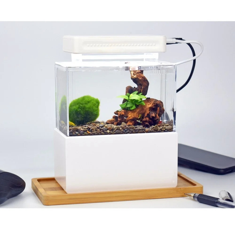 Mini Betta Aquarium