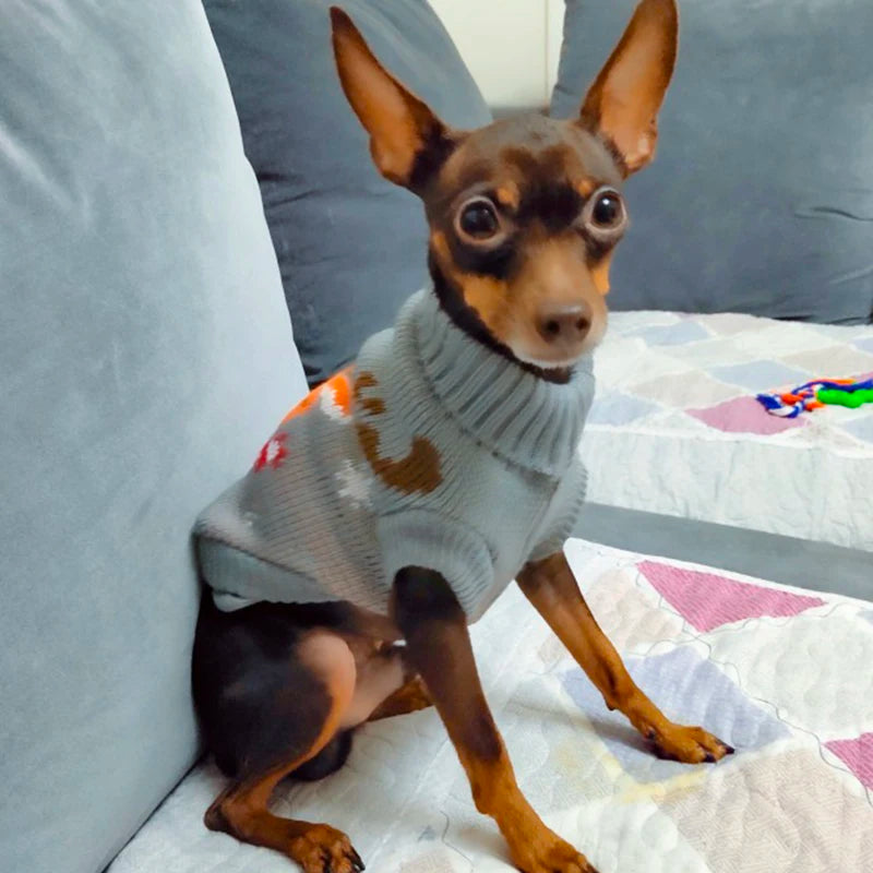 Weihnachtspullover für Hunde