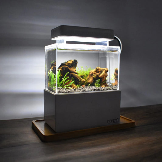 Mini Betta Aquarium