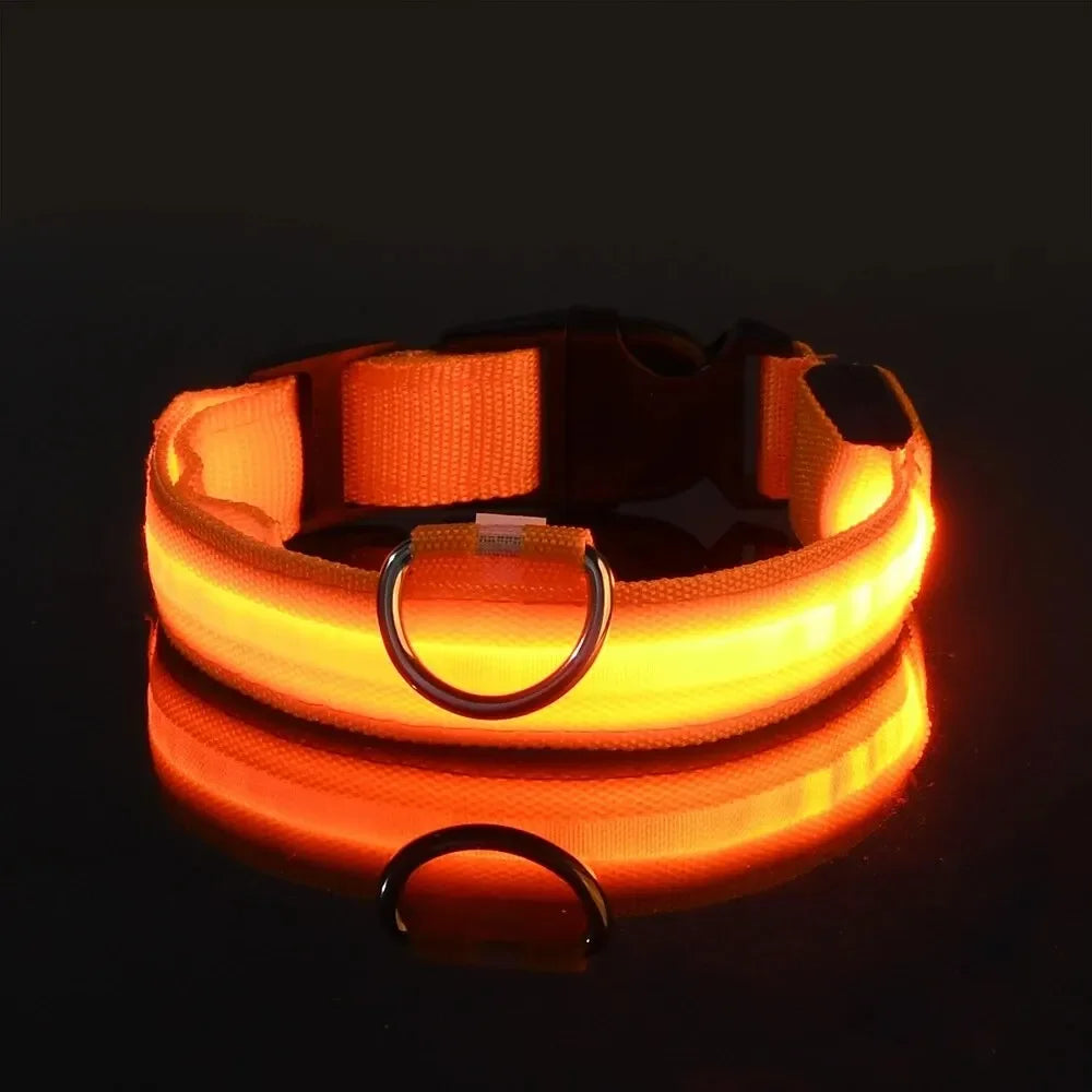 Leuchtendes LED Sicherheit-Hundehalsband