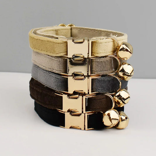 Personalisiertes Katzenhalsband aus Samt