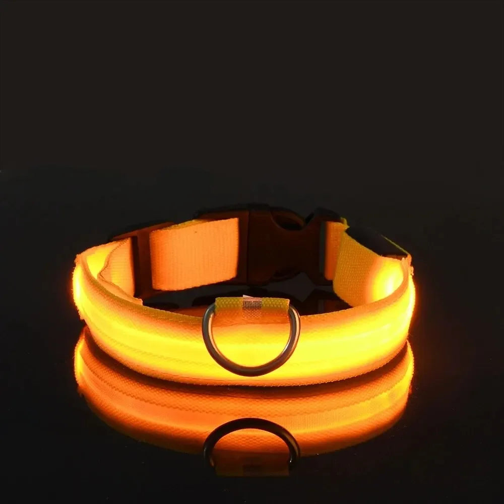 Leuchtendes LED Sicherheit-Hundehalsband