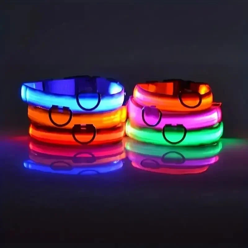 Leuchtendes LED Sicherheit-Hundehalsband