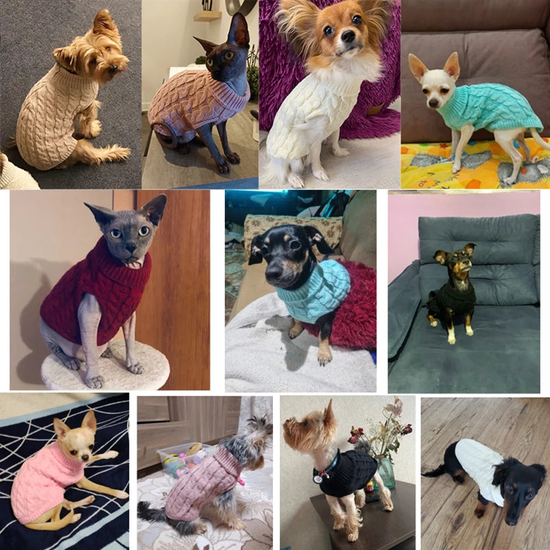 Strickpullover für Hunde