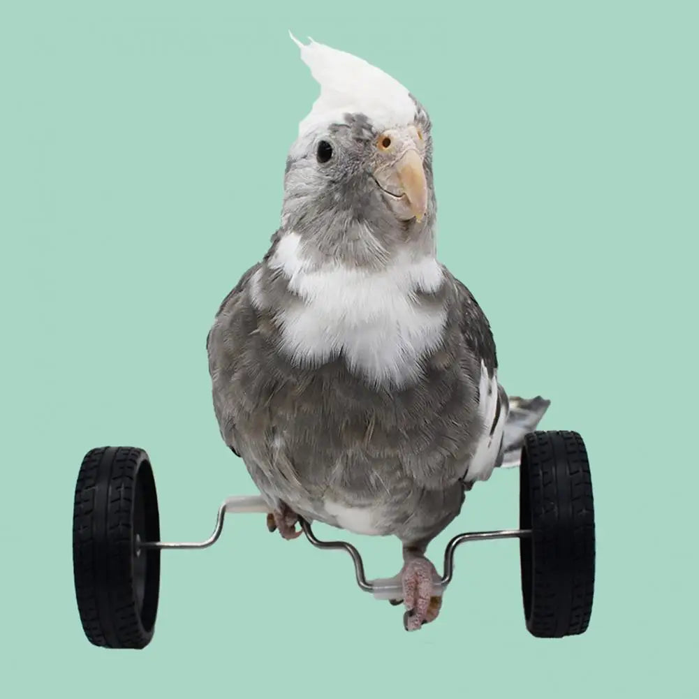 Vogel Balance Spielzeug
