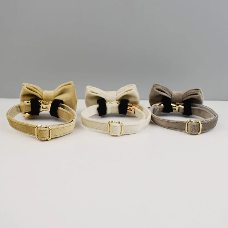Personalisiertes Katzenhalsband aus Samt