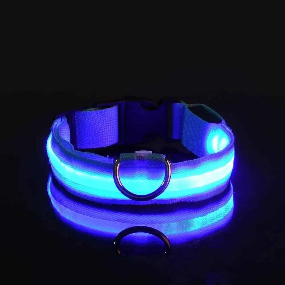Leuchtendes LED Sicherheit-Hundehalsband