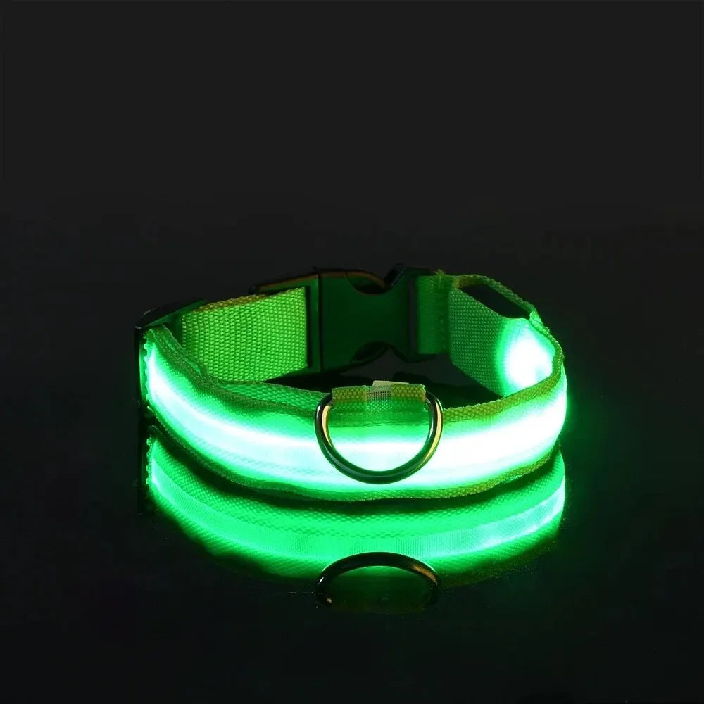 Leuchtendes LED Sicherheit-Hundehalsband