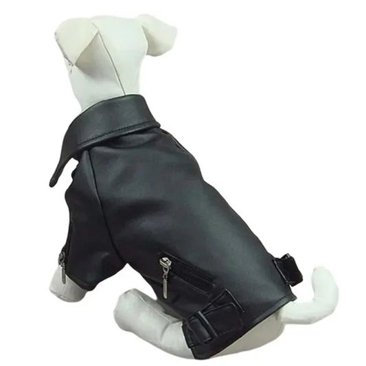 Lederjacke für Hunde