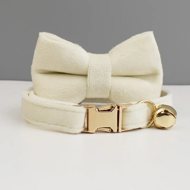 Personalisiertes Katzenhalsband aus Samt