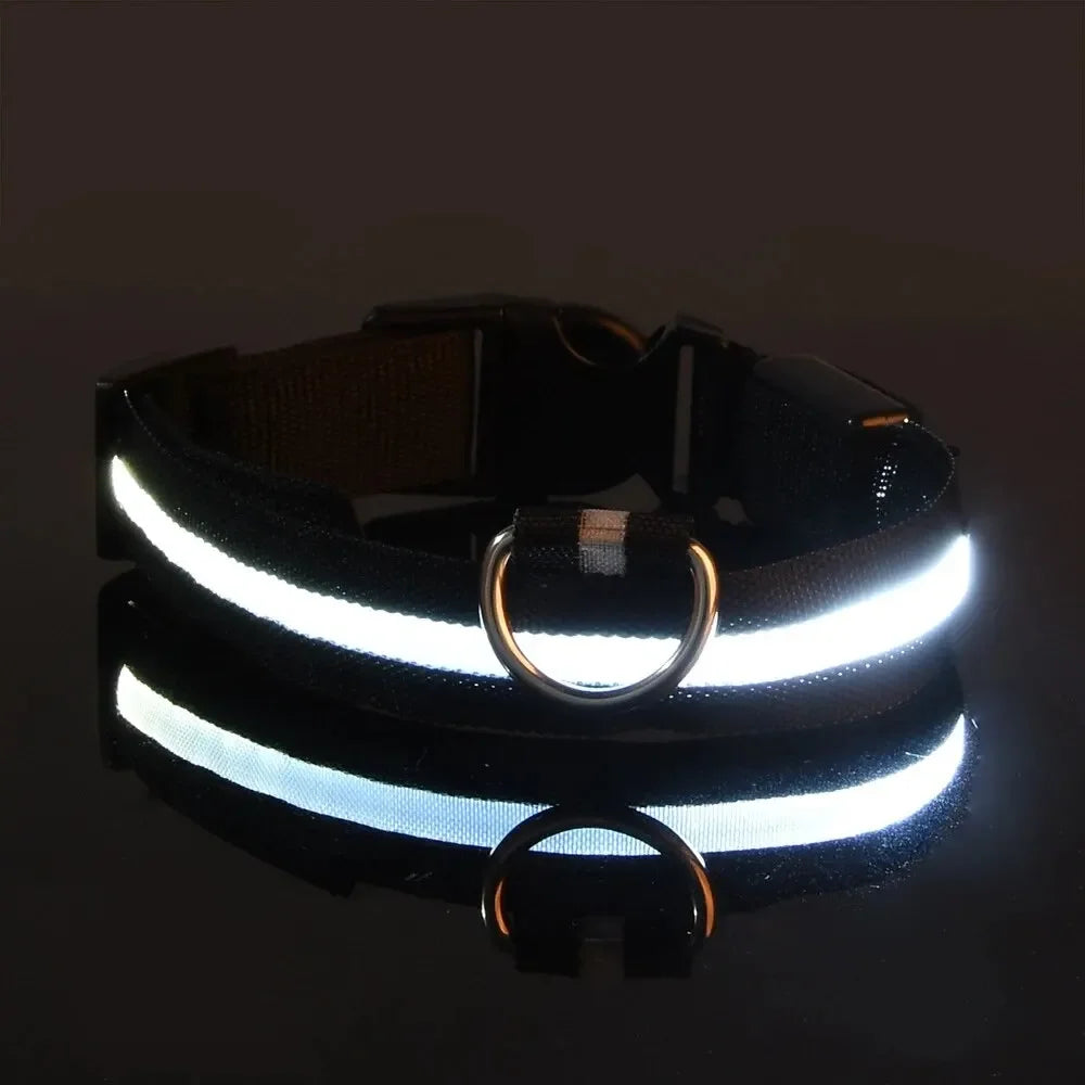 Leuchtendes LED Sicherheit-Hundehalsband