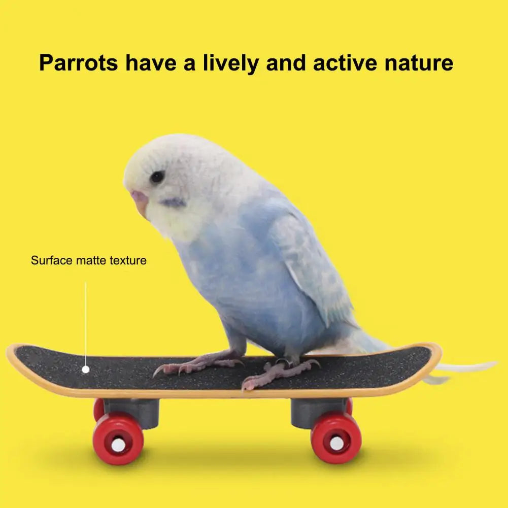 Vogelspielzeug Skateboard