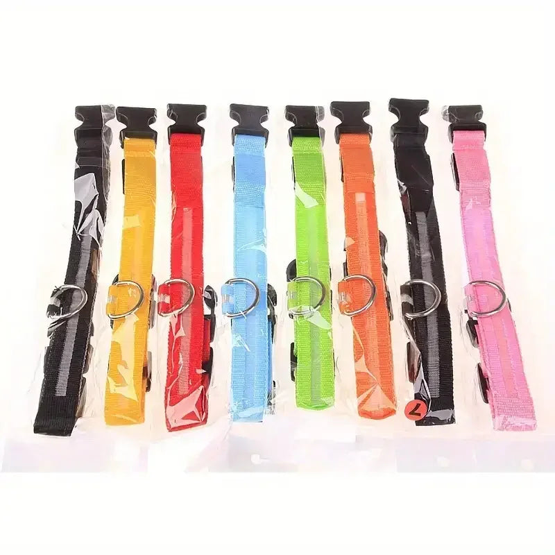 Leuchtendes LED Sicherheit-Hundehalsband