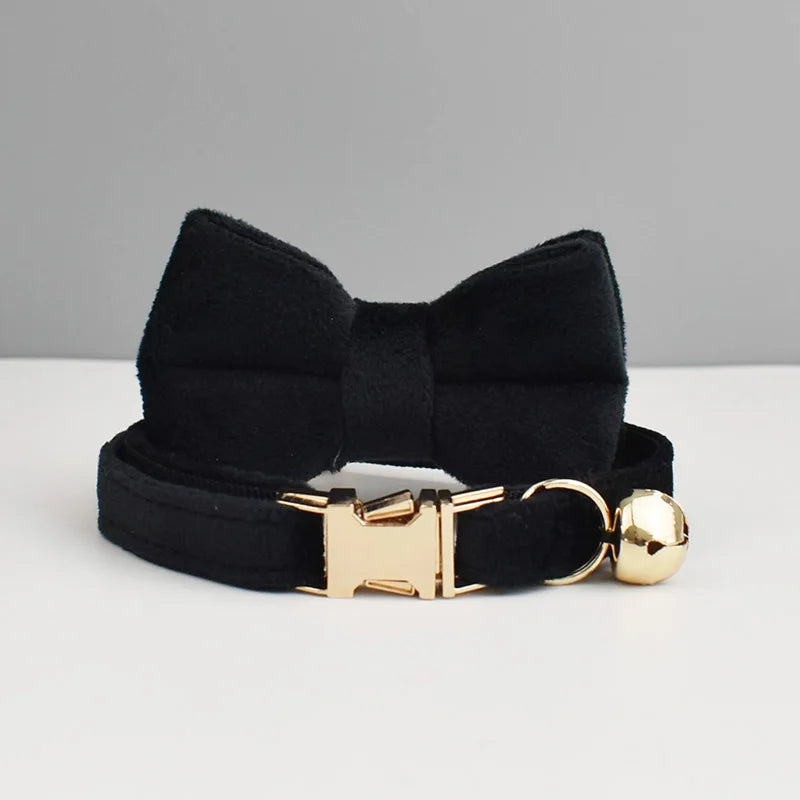 Personalisiertes Katzenhalsband aus Samt