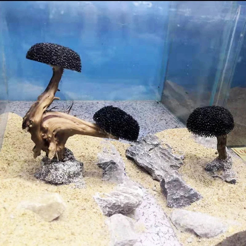 Treibholzbaum mit Pflanzenwachsfläche