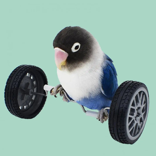 Vogel Balance Spielzeug