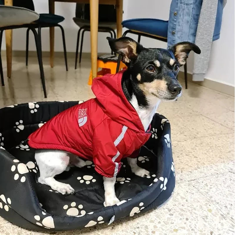 TheDogFace Jacke für Hunde