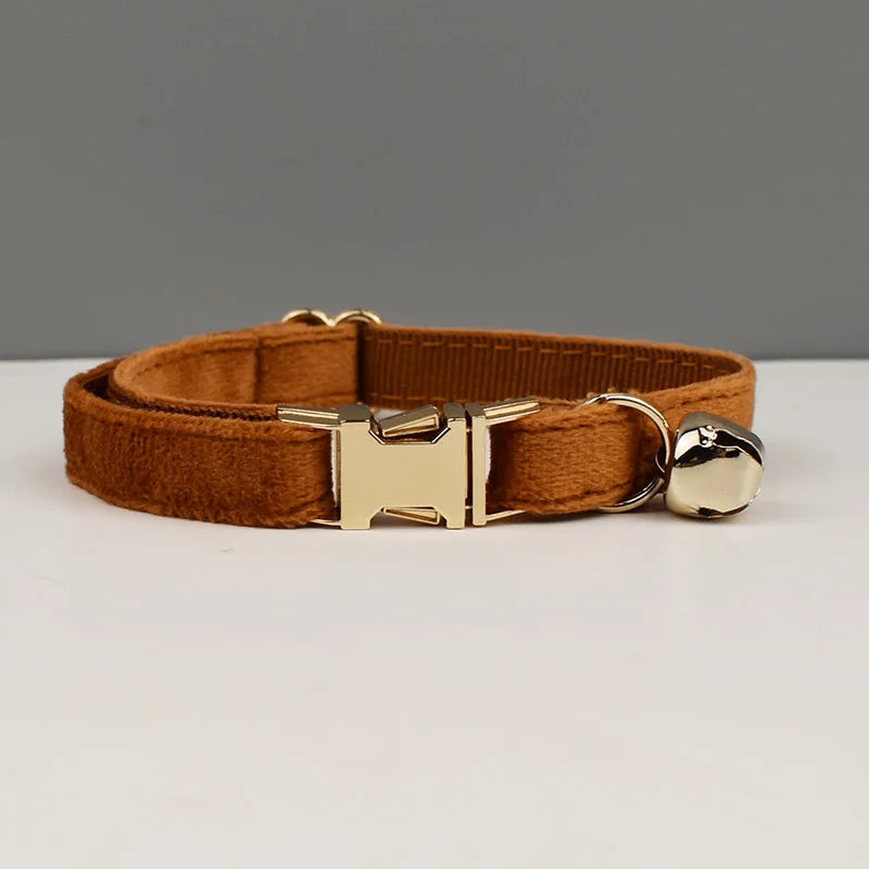 Personalisiertes Katzenhalsband aus Samt