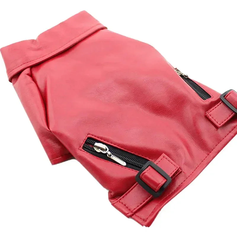 Lederjacke für Hunde