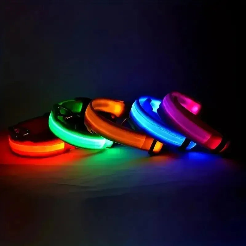 Leuchtendes LED Sicherheit-Hundehalsband