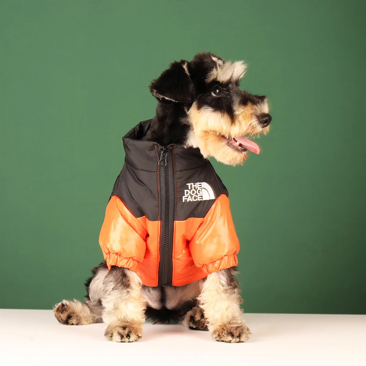 The Dog Face Jacke für den Winter