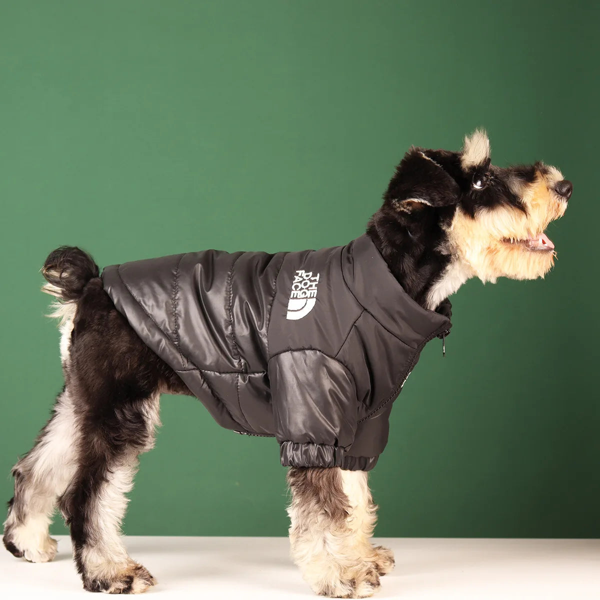The Dog Face Jacke für den Winter