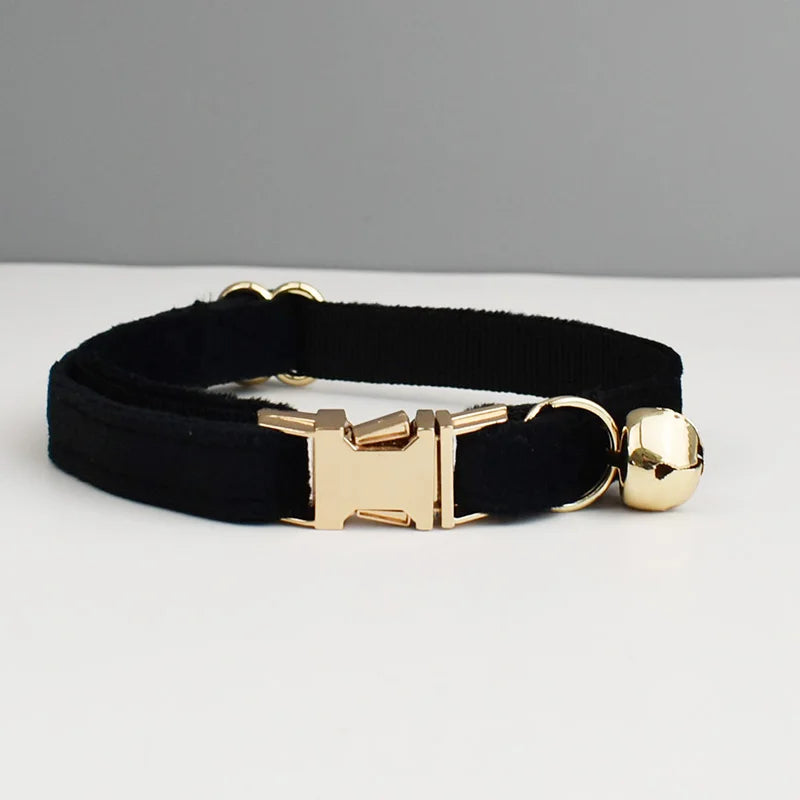 Personalisiertes Katzenhalsband aus Samt