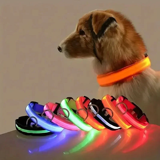 Leuchtendes LED Sicherheit-Hundehalsband