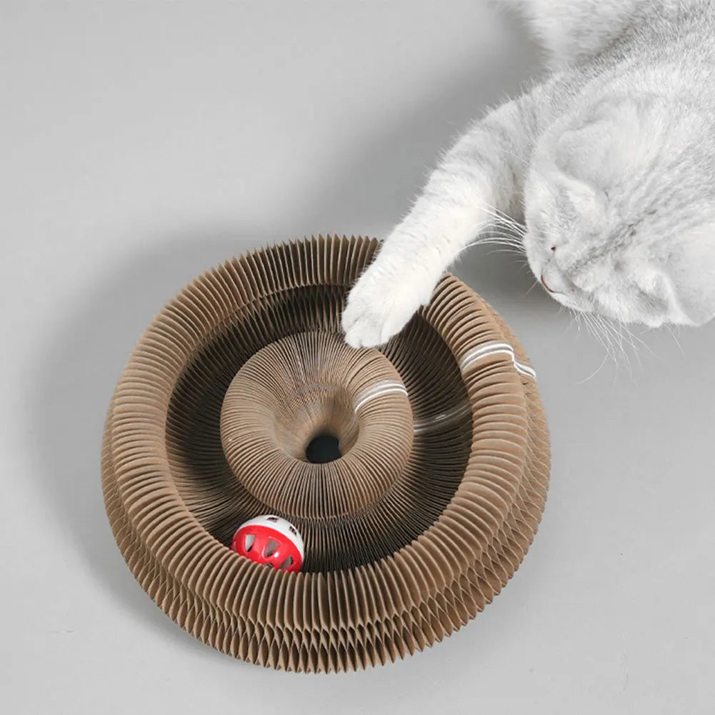Katzenkratzbrett