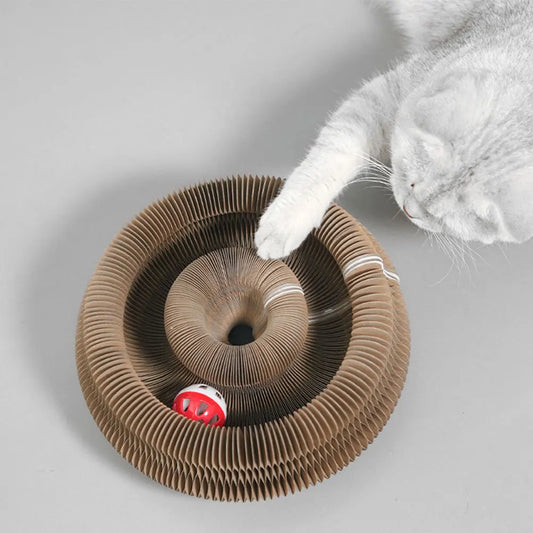 Katzenkratzbrett