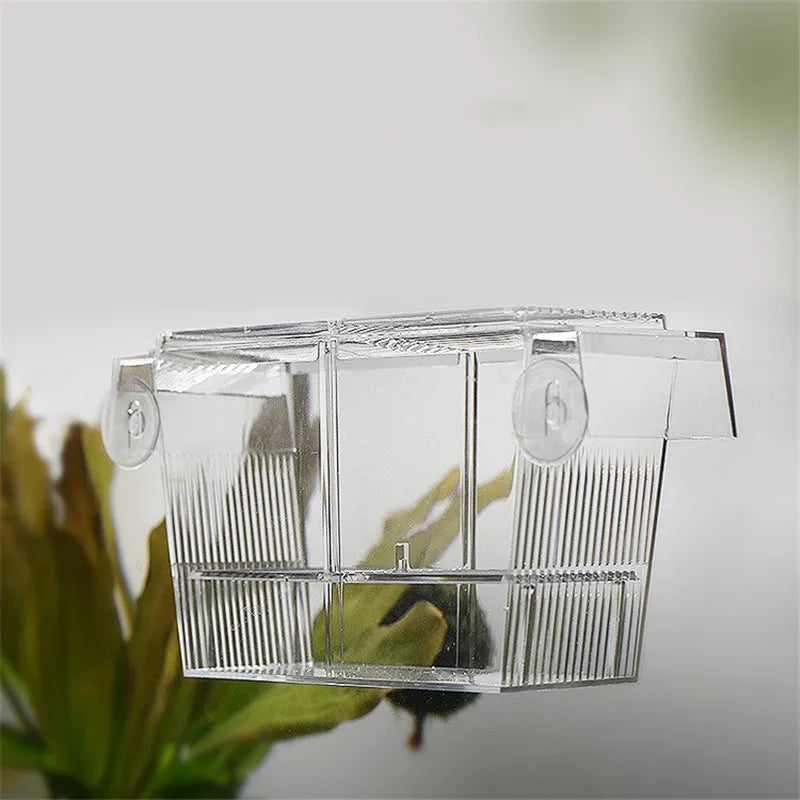 Brutkasten/Isolationsbox für Fische