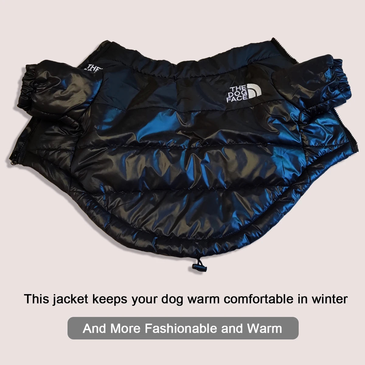 The Dog Face Jacke für den Winter