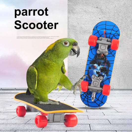 Vogelspielzeug Skateboard