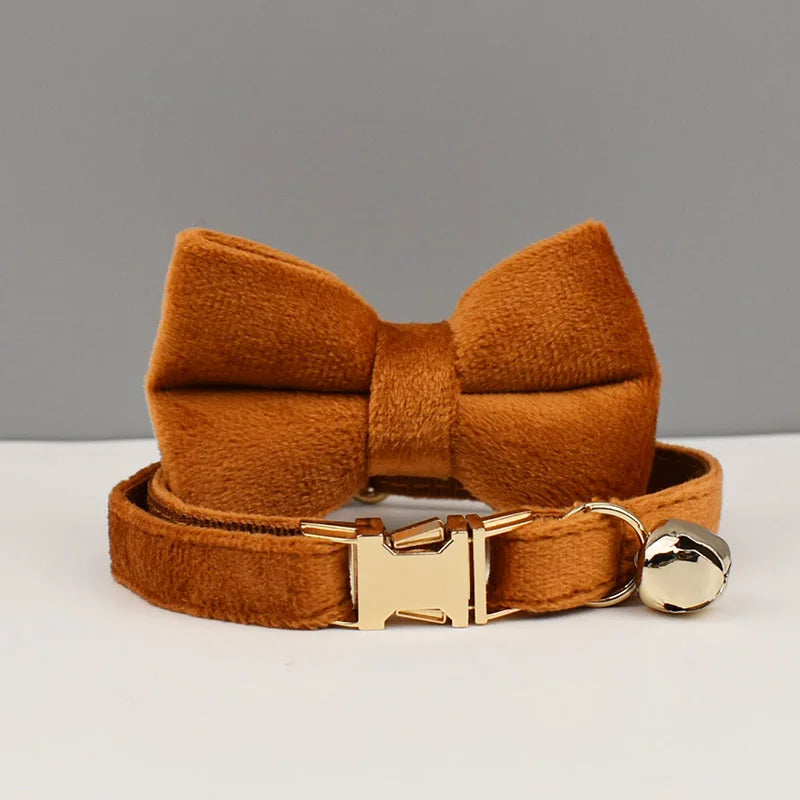 Personalisiertes Katzenhalsband aus Samt