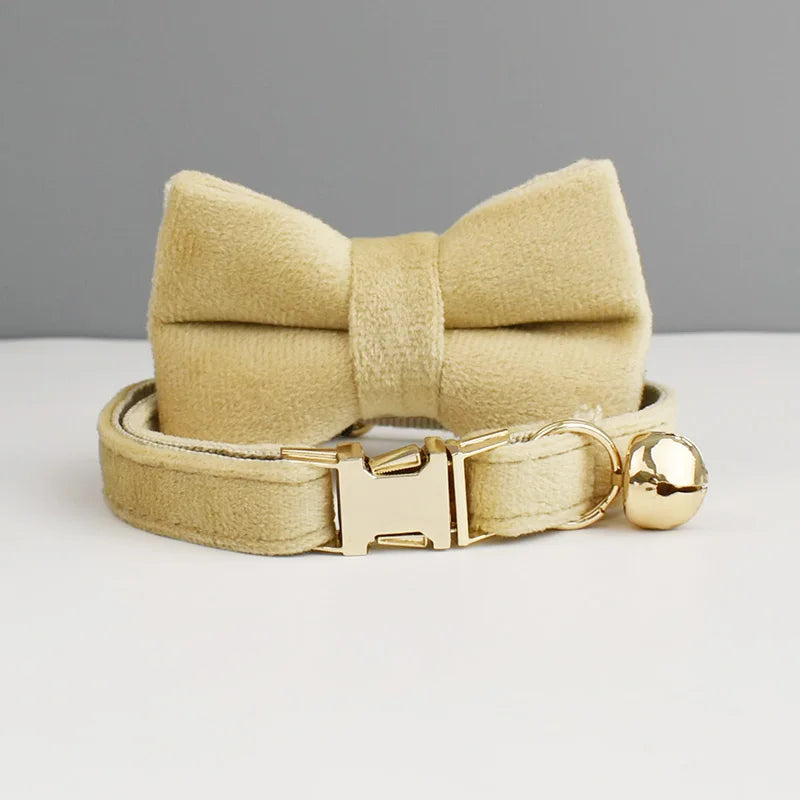 Personalisiertes Katzenhalsband aus Samt