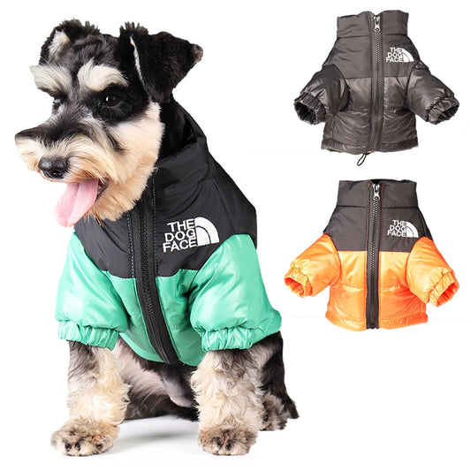 The Dog Face Jacke für den Winter