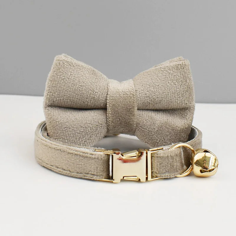 Personalisiertes Katzenhalsband aus Samt
