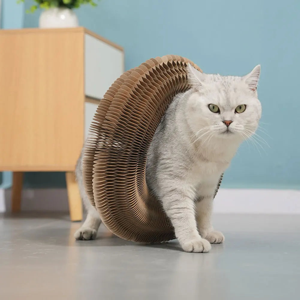 Katzenkratzbrett