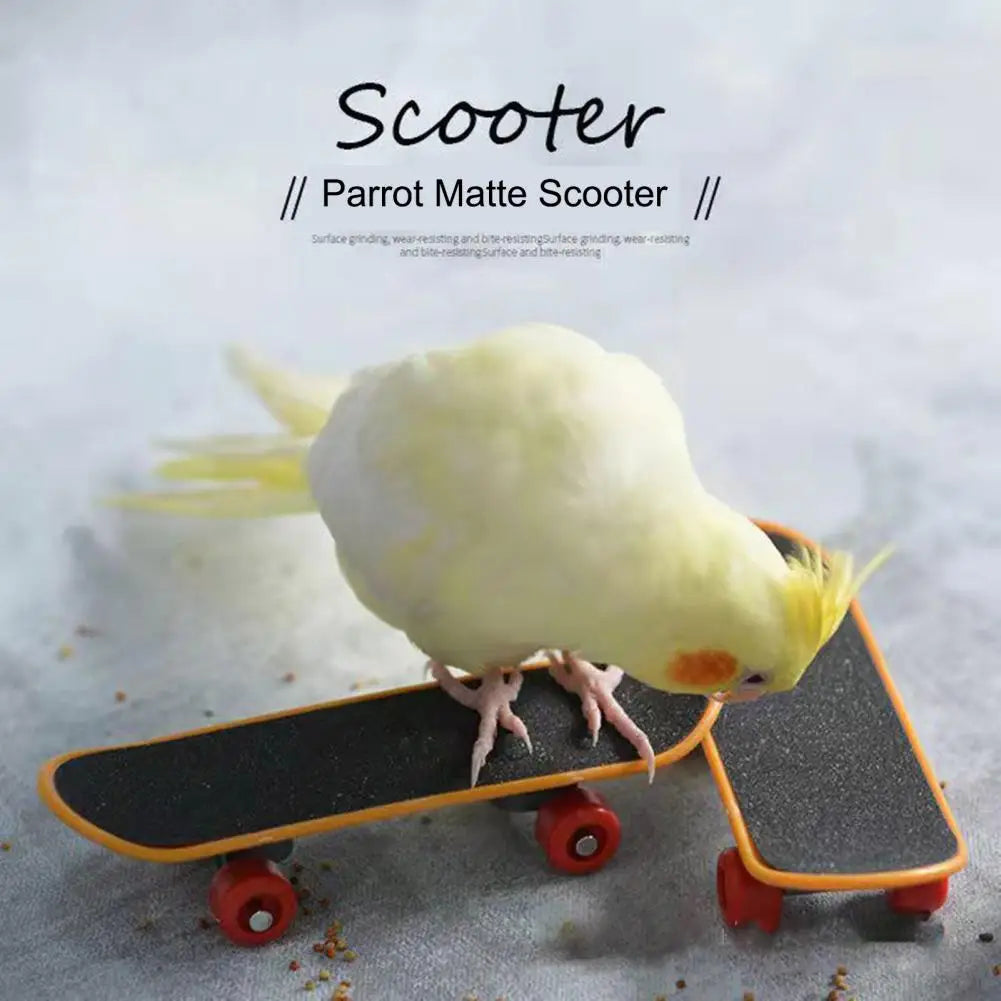 Vogelspielzeug Skateboard